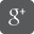 Google+