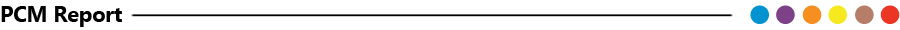 PCM-Report