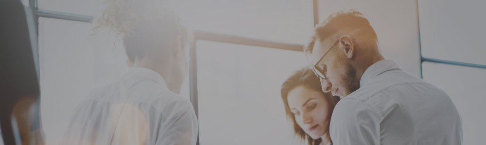 Razvoj menadžerskih veština<br> kroz PCM model